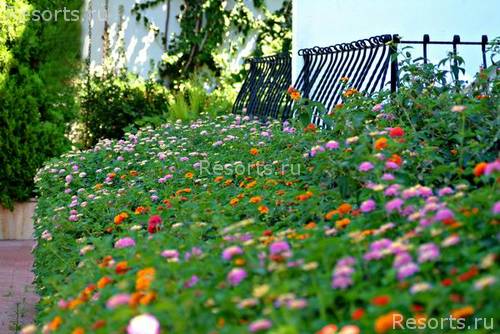 Hotel Golden Beach 8